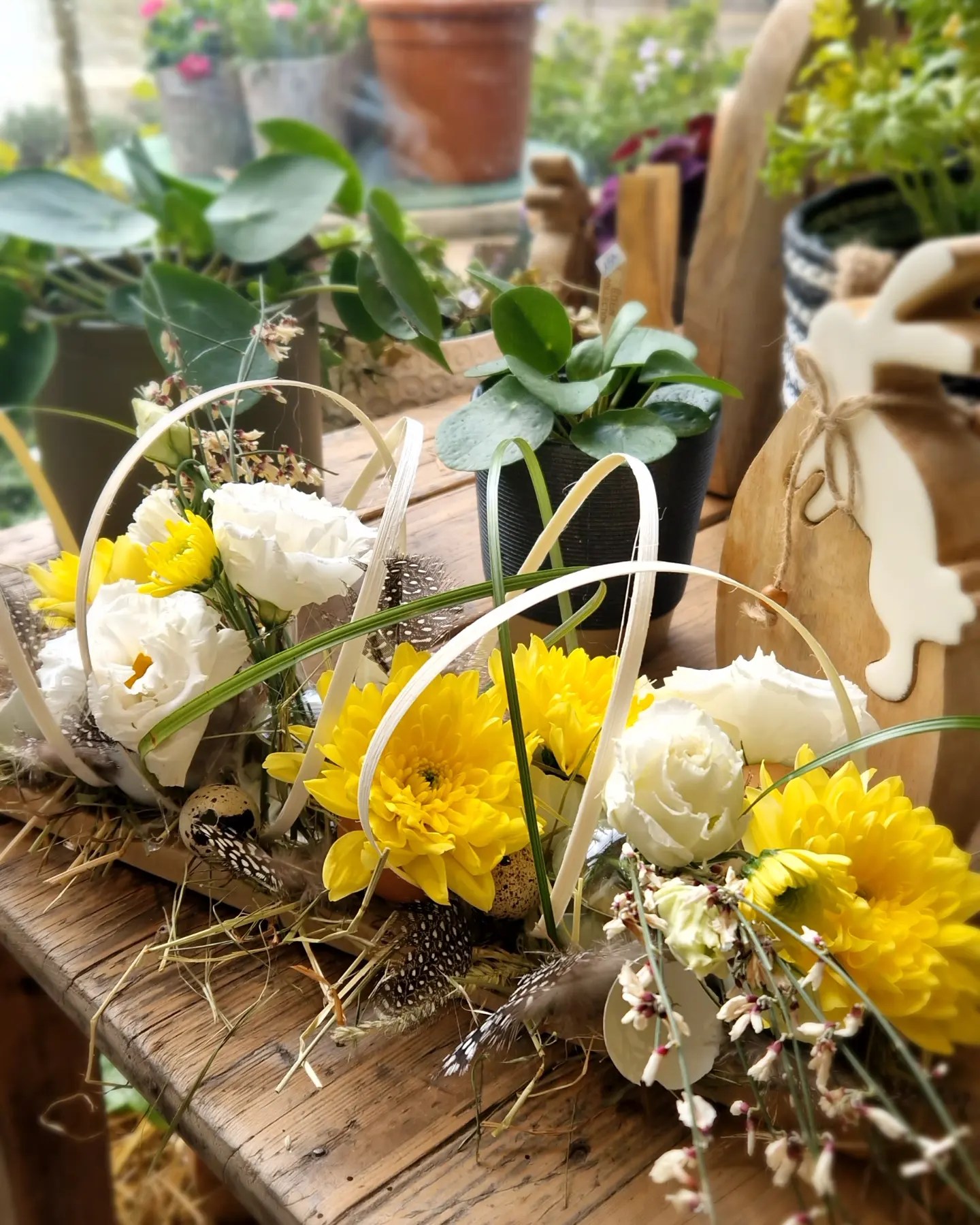 Fleurs de Champ - Compositions florales